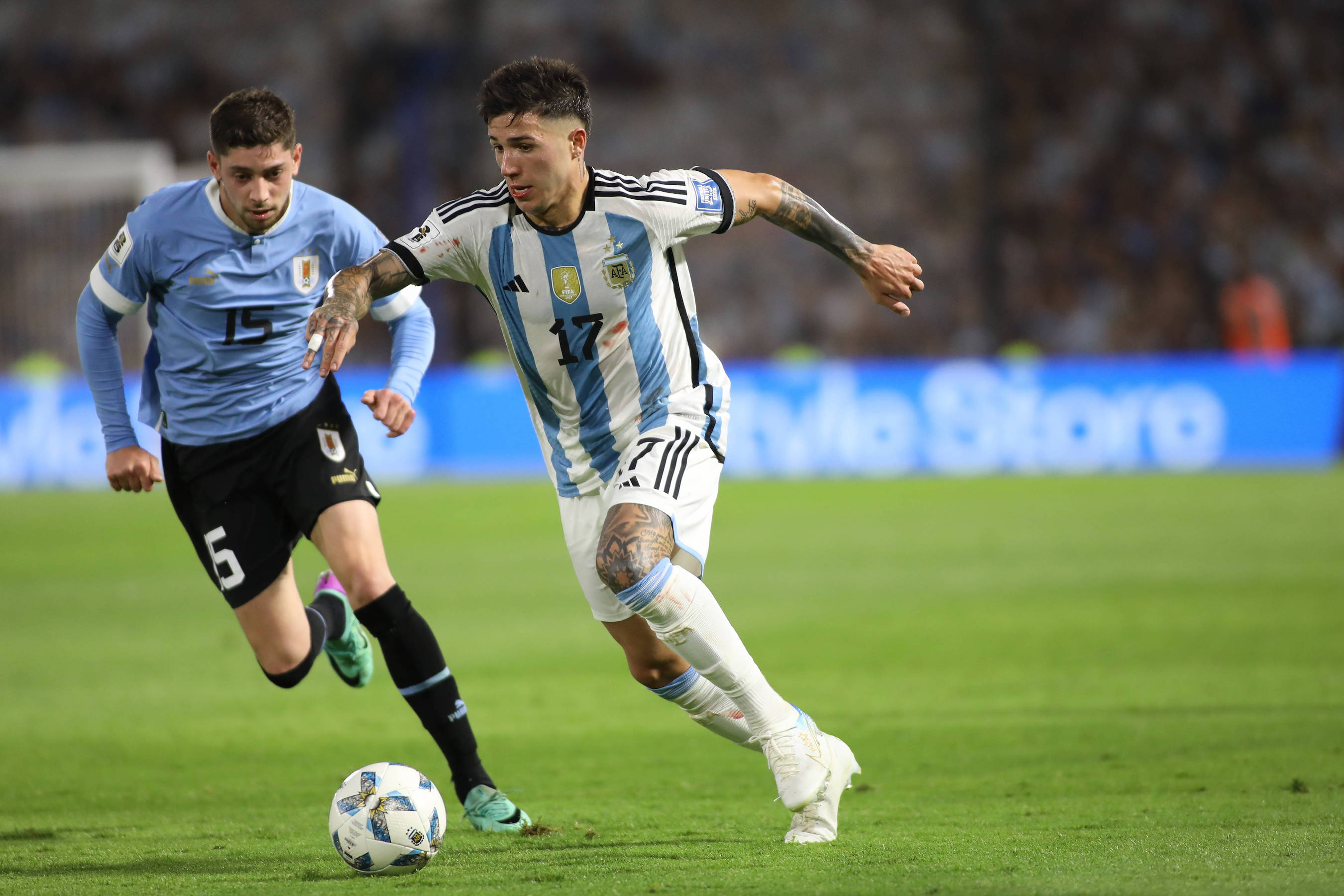 PWM Valverde Fernandez