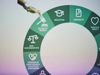 ROGE25 Wheel Of Conditions