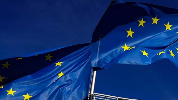 European Union Flags