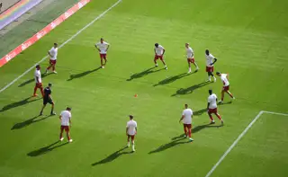 Players Generic Pitch Grass