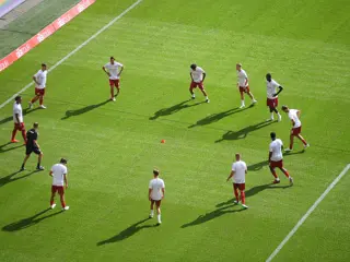 Players Generic Pitch Grass