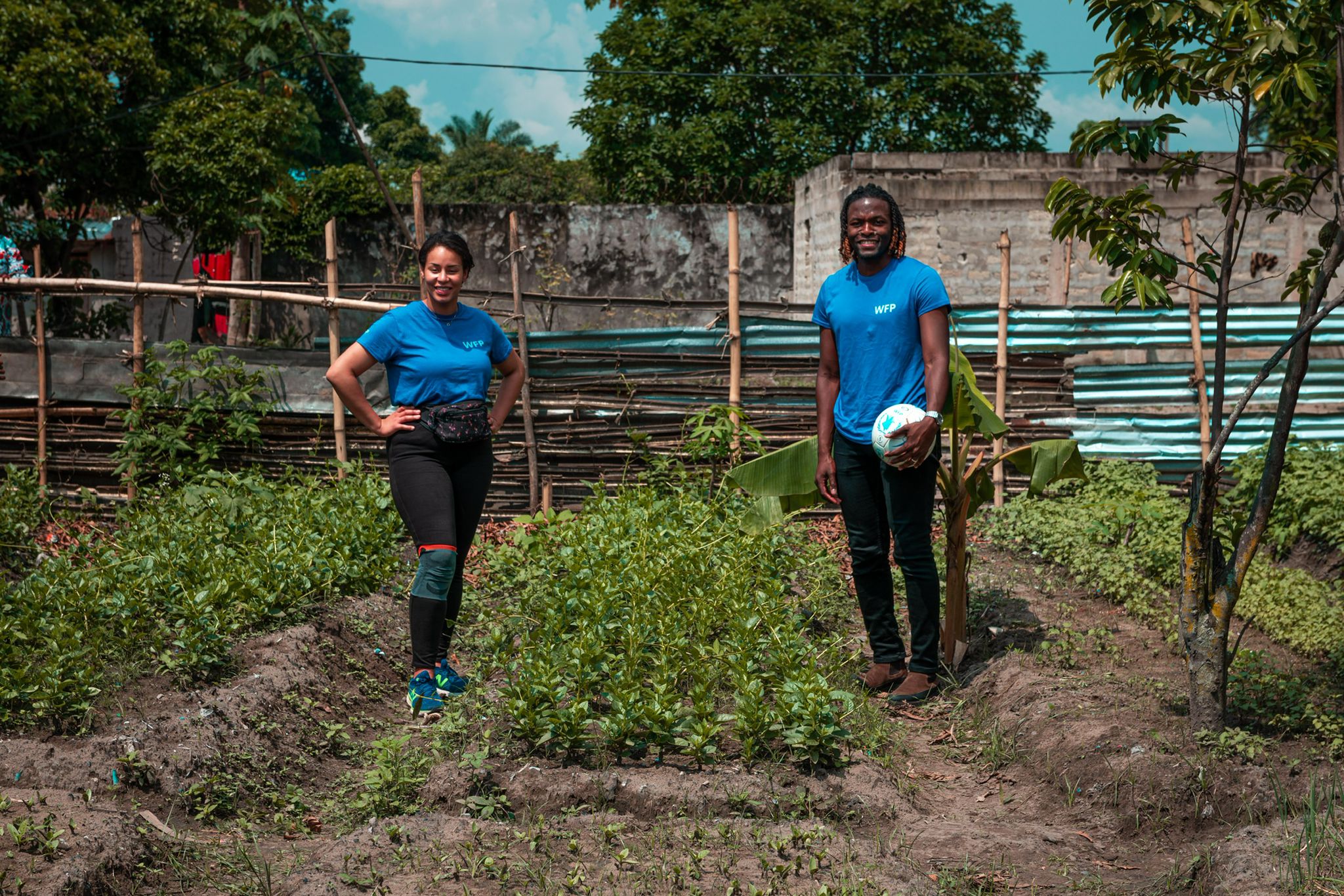 Distel Zola Photo 10