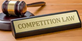 Competition Law
