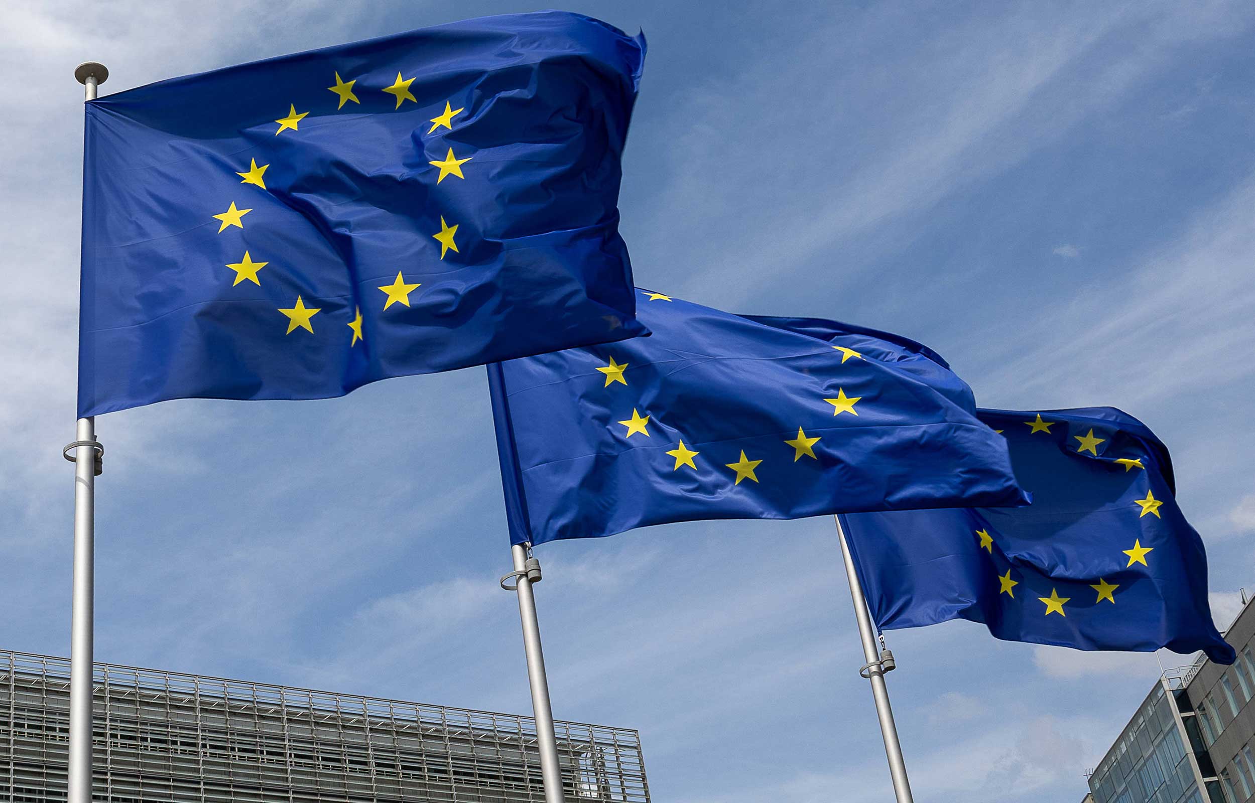 European Union Flag 2