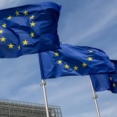 European Union Flag 2