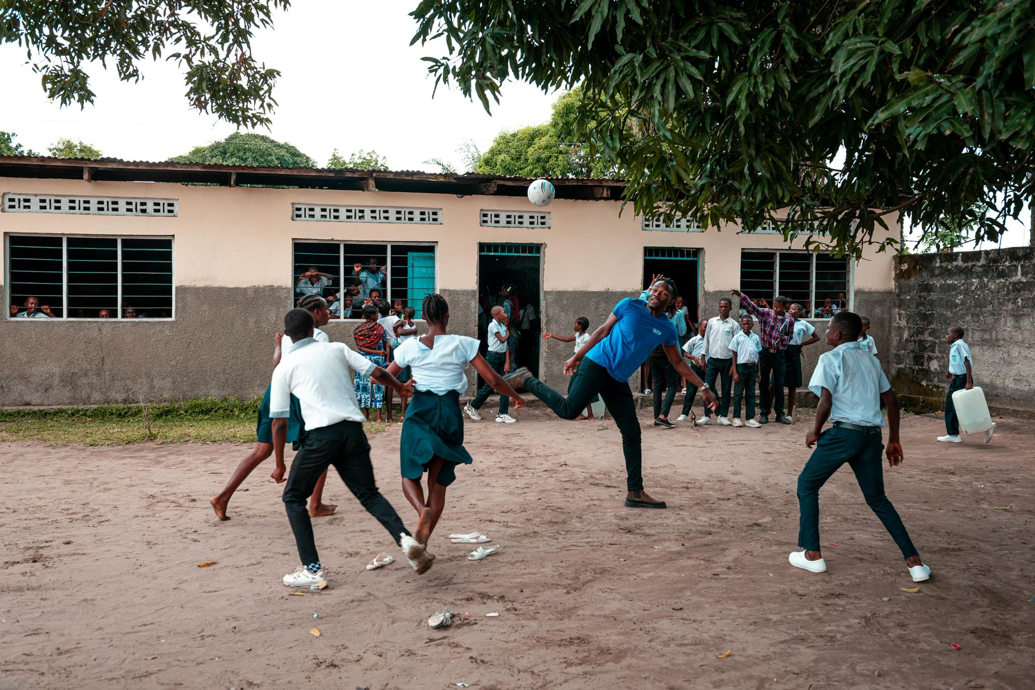 Distel Zola Photo 08