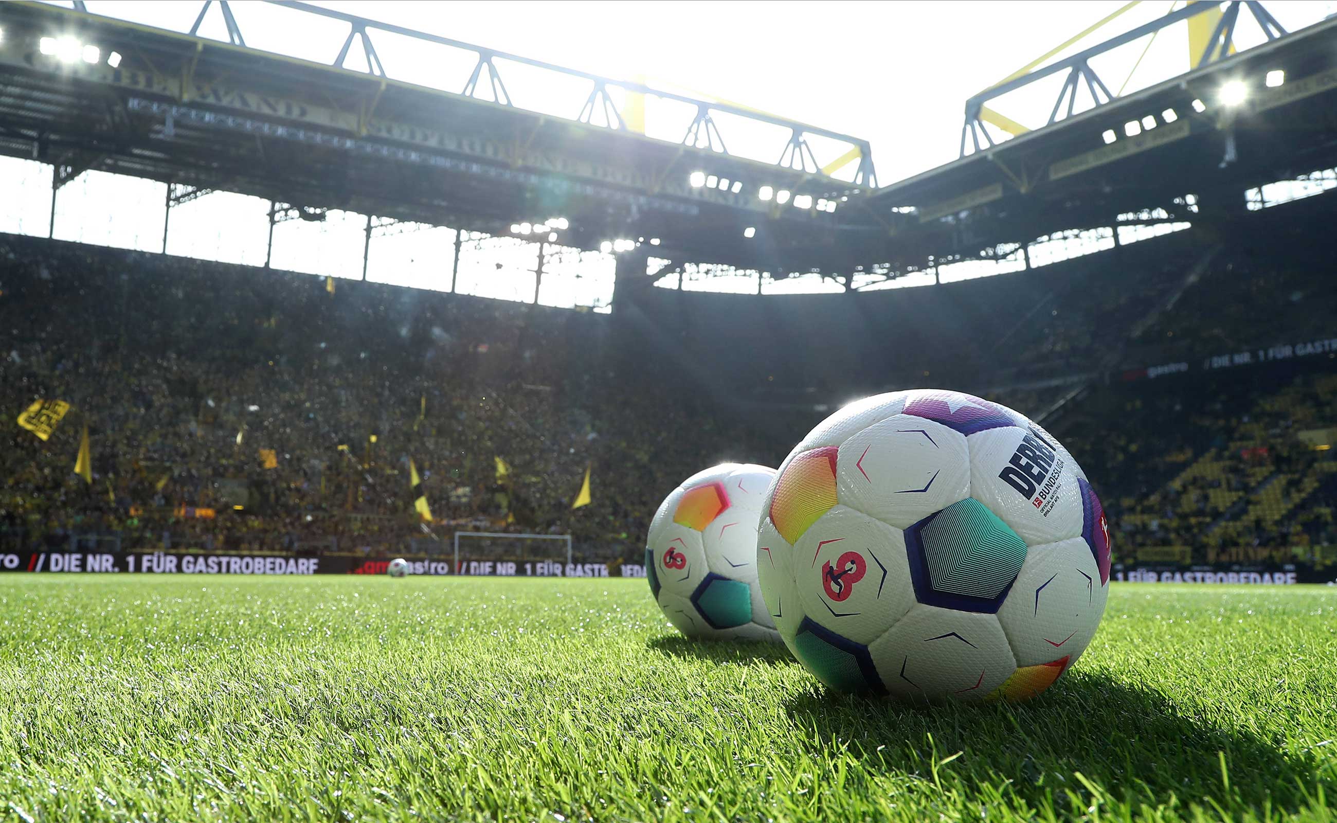 Bundesliga Pitch Generic Dortmund