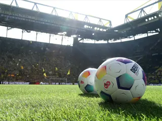 Bundesliga Pitch Generic Dortmund