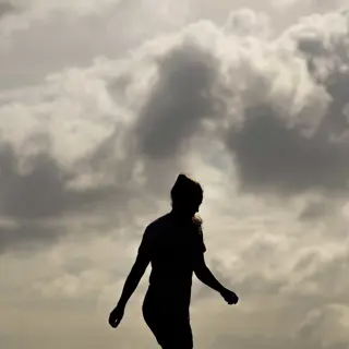 Generic Silhouette Training