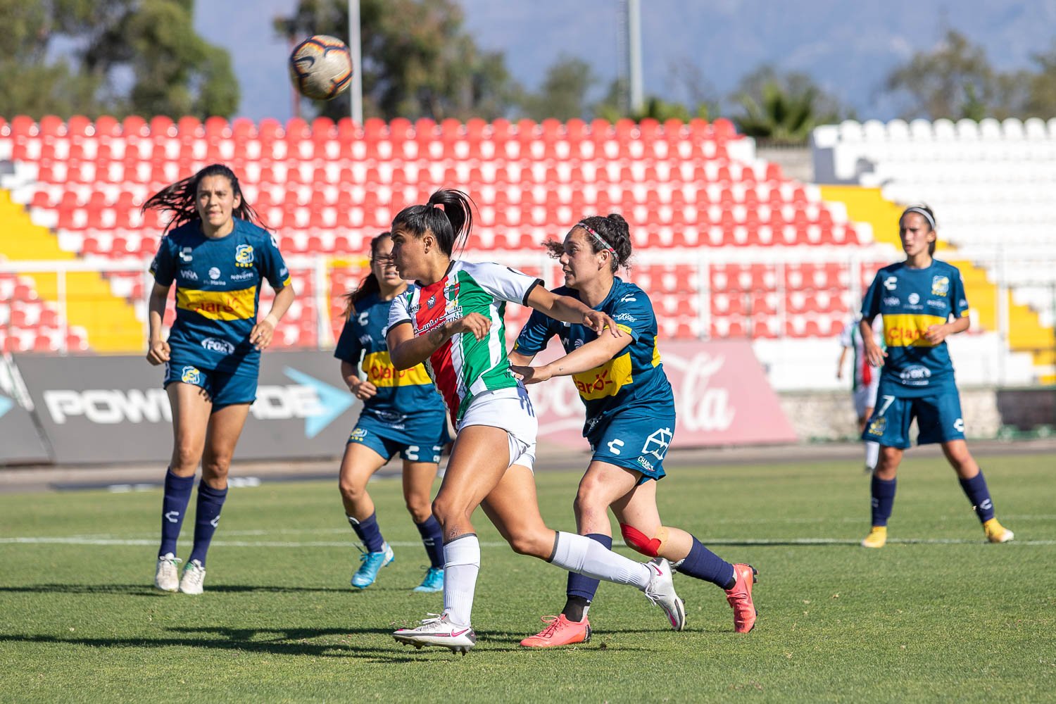 Catalina Quezada playing