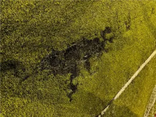 Panamá Estadio Los Andes II