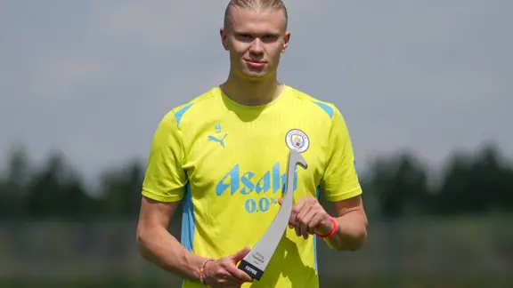 Erling Haaland Trophy 2