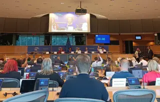 EU Vote EU Parliament