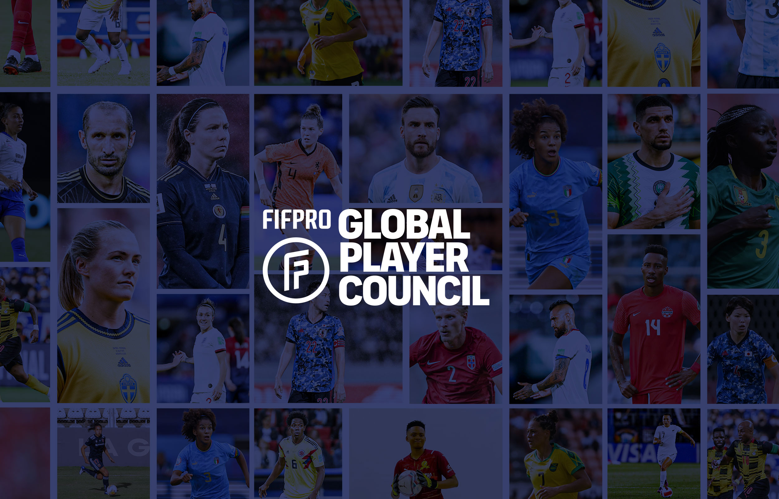 New Gpc Article Image