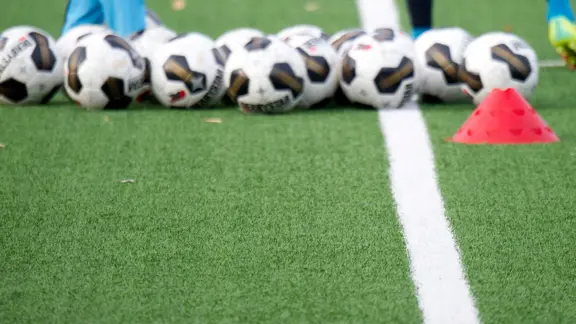 Artificalturf Hh 2500