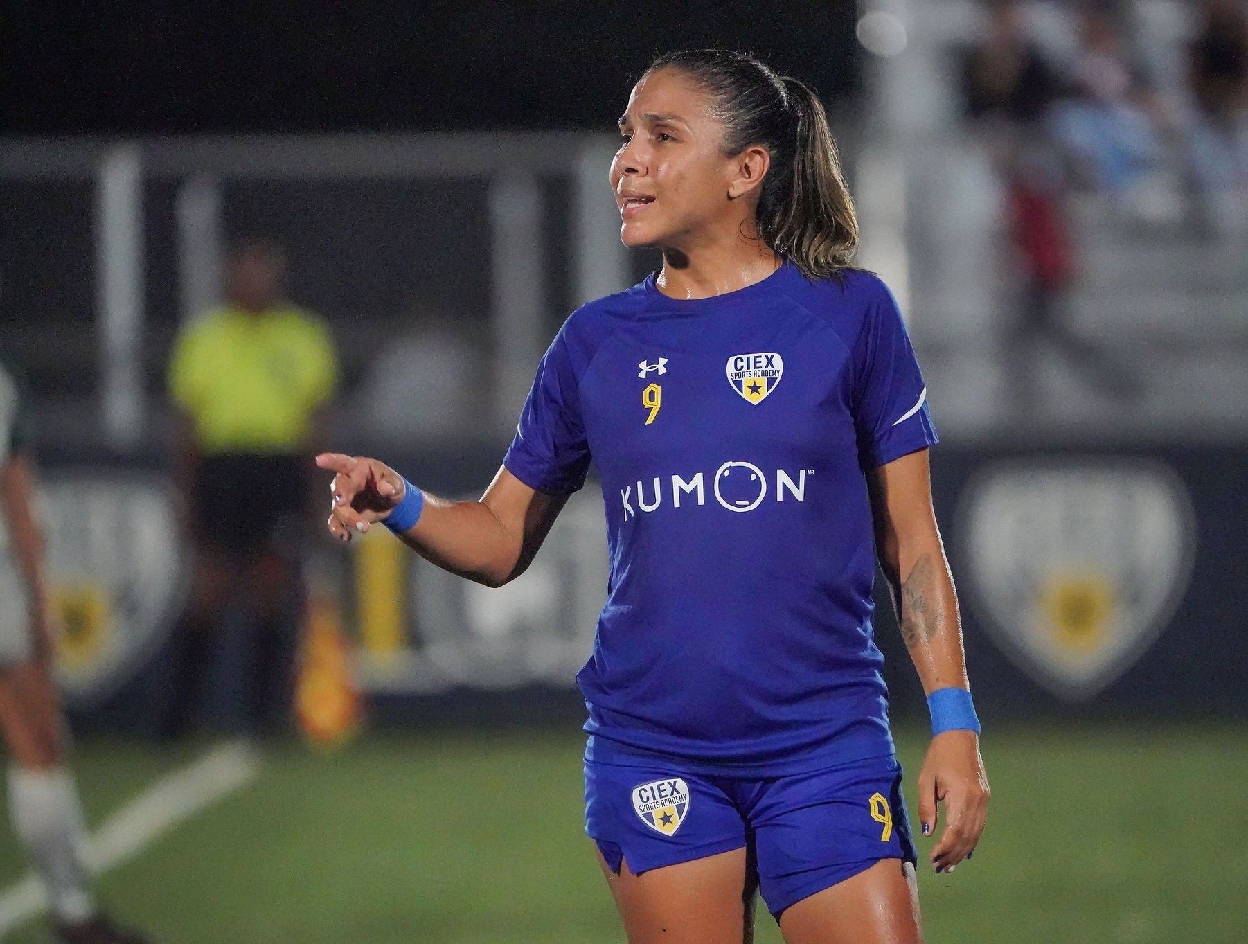 Amarelis de Mera Panama