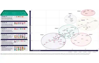 Shapingfuture Scatter 1100